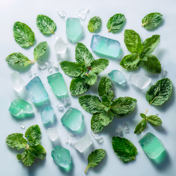 Fresh & Minty Collection