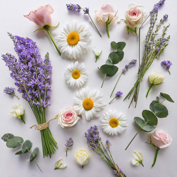 Floral & Calming Collection